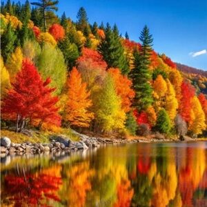 Meet Your Posher, JuliSsA